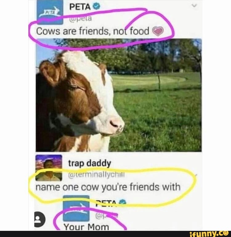 Cows are friends, no food @
trap daddy
name one cow you're friends with
Your