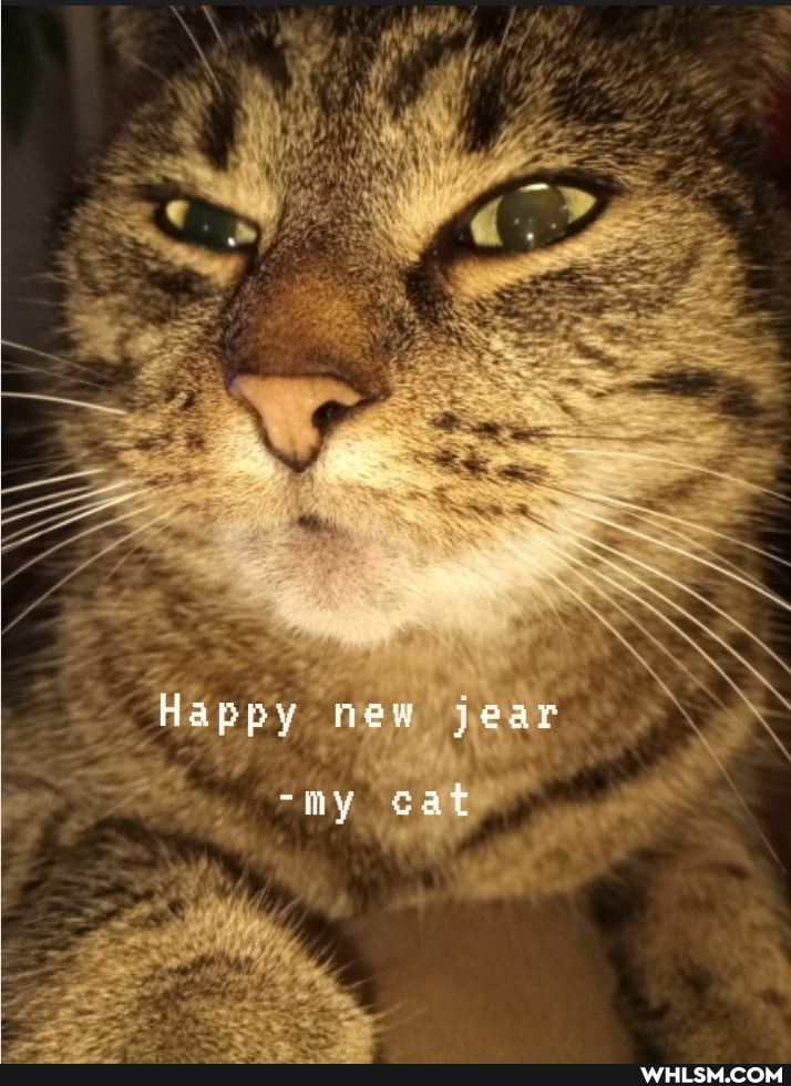 Happy mew jear
-iny cat