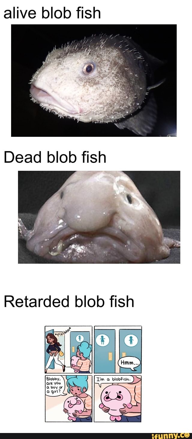 Blob blob fish : r/memes