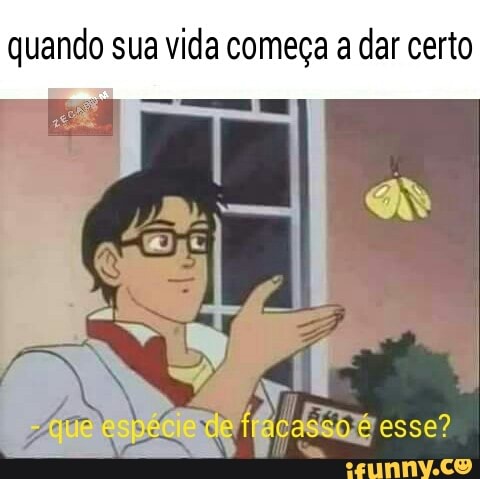 quando sua vida começa a dar certo
