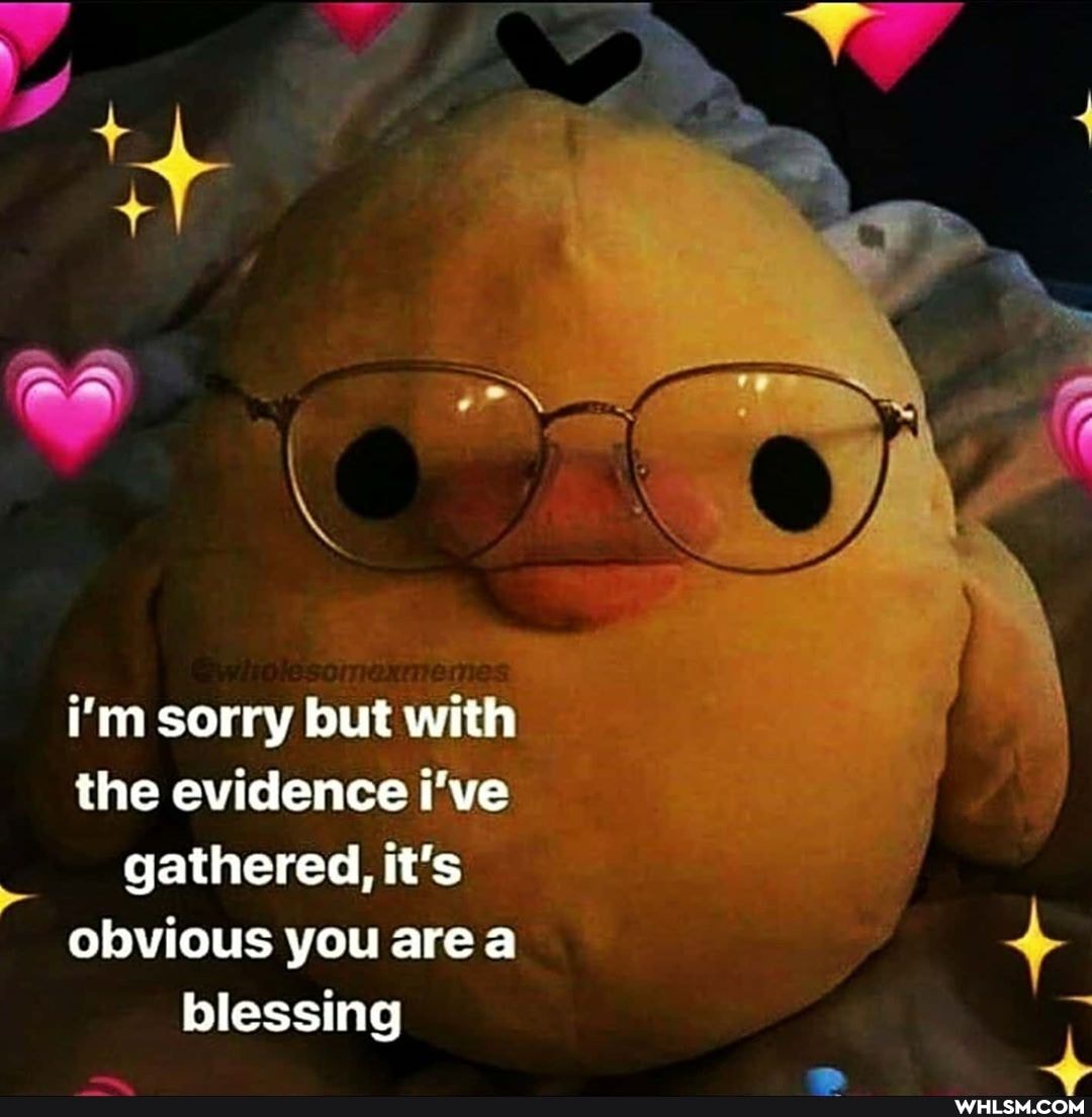 ma
i'm sorry but with the evidence i've gathered, it's obvious you are a blessing