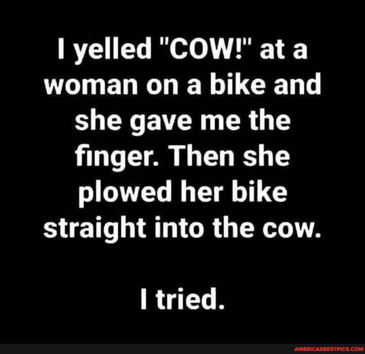 yelled "COW! at woman on a bike and she gave me the finger. Then she plowed her bike straight into the cow.
tried.