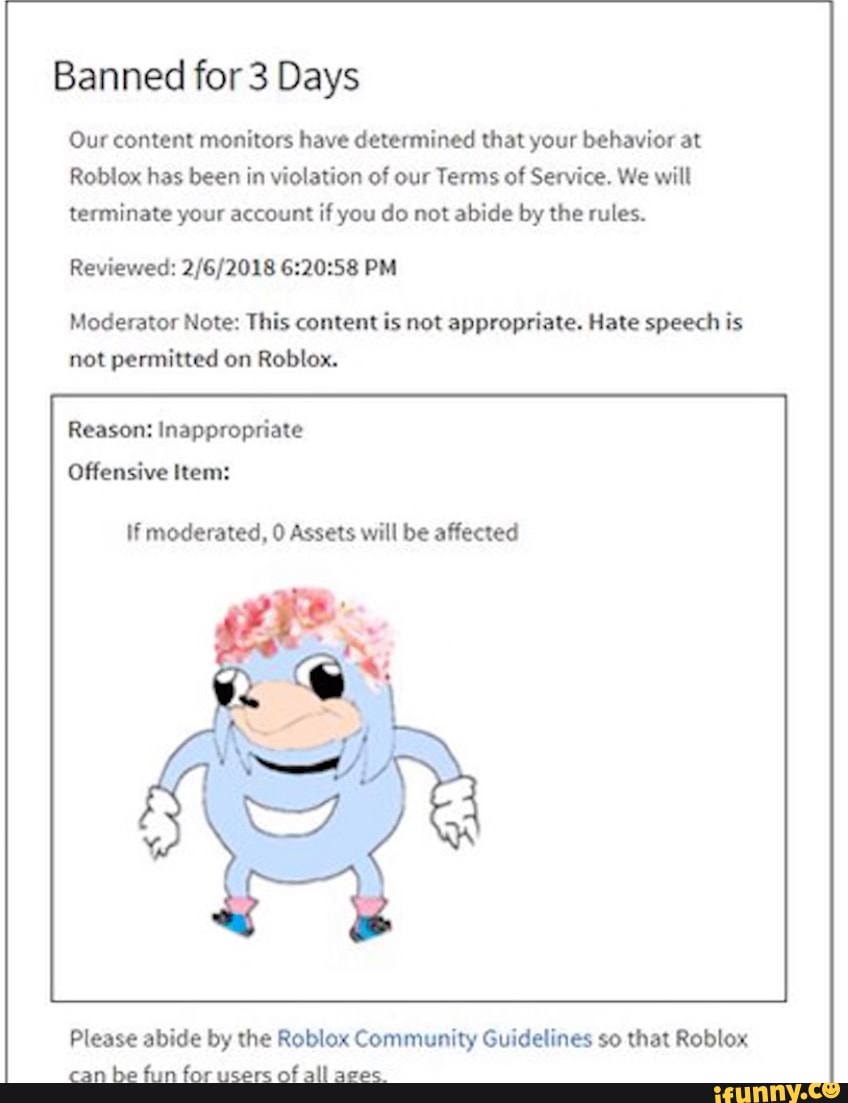 Banned for 1 Day Our content monitors have determined that your behavior at  Roblox has been