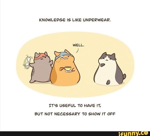 KNOWLEDGE IS LIKE UNDERWEAR.
IT'S USEFUL TO HAVE IT,
BUT NOT NECESSARY TO SHOW IT OFF