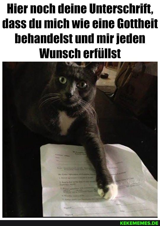 Hier noch deine Unterschrift, dass du mich wie eine Gottheit behandelst und mir jeden
Wunsch erfüllst