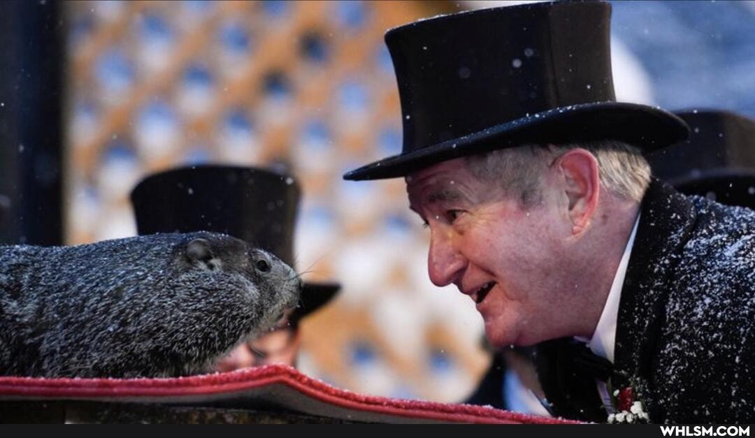 awesome, groundhog_day, groundhog, wtf