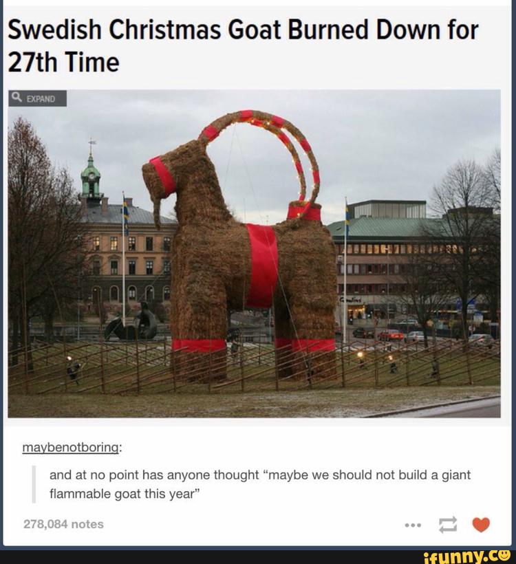 Swedish Christmas Goat Burned Down for 27th Time and a! no point has