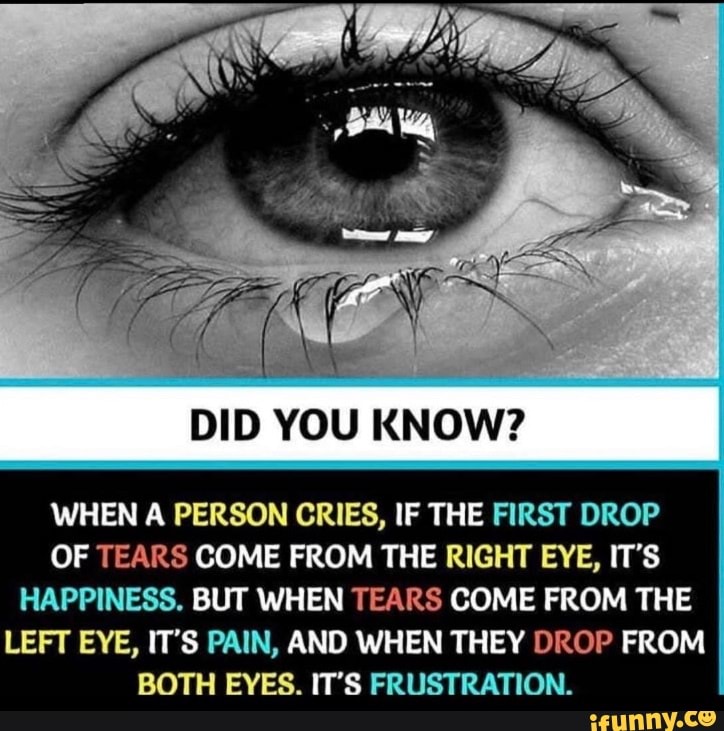 Did You Know When A Person Cries If The First Drop Of Tears Come From The
