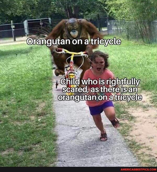 fangutan ona tricycle Child who is rightfully scared, as there is an