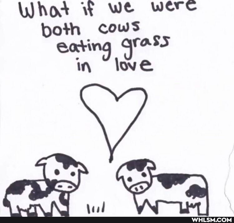 Who we were both cows
Cating ia lwe