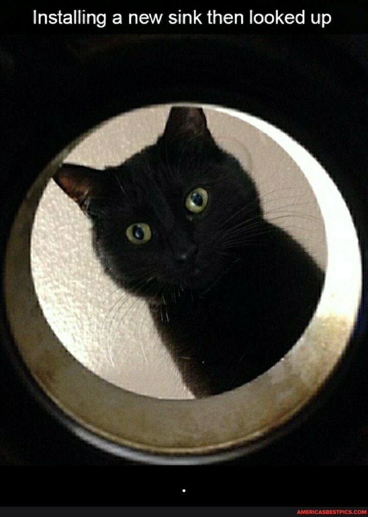 Installing a new sink then looked up - .