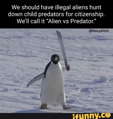 We should have illegal aliens hunt
down child predators for citizenship.
We'll call it "Alien vs Predator."