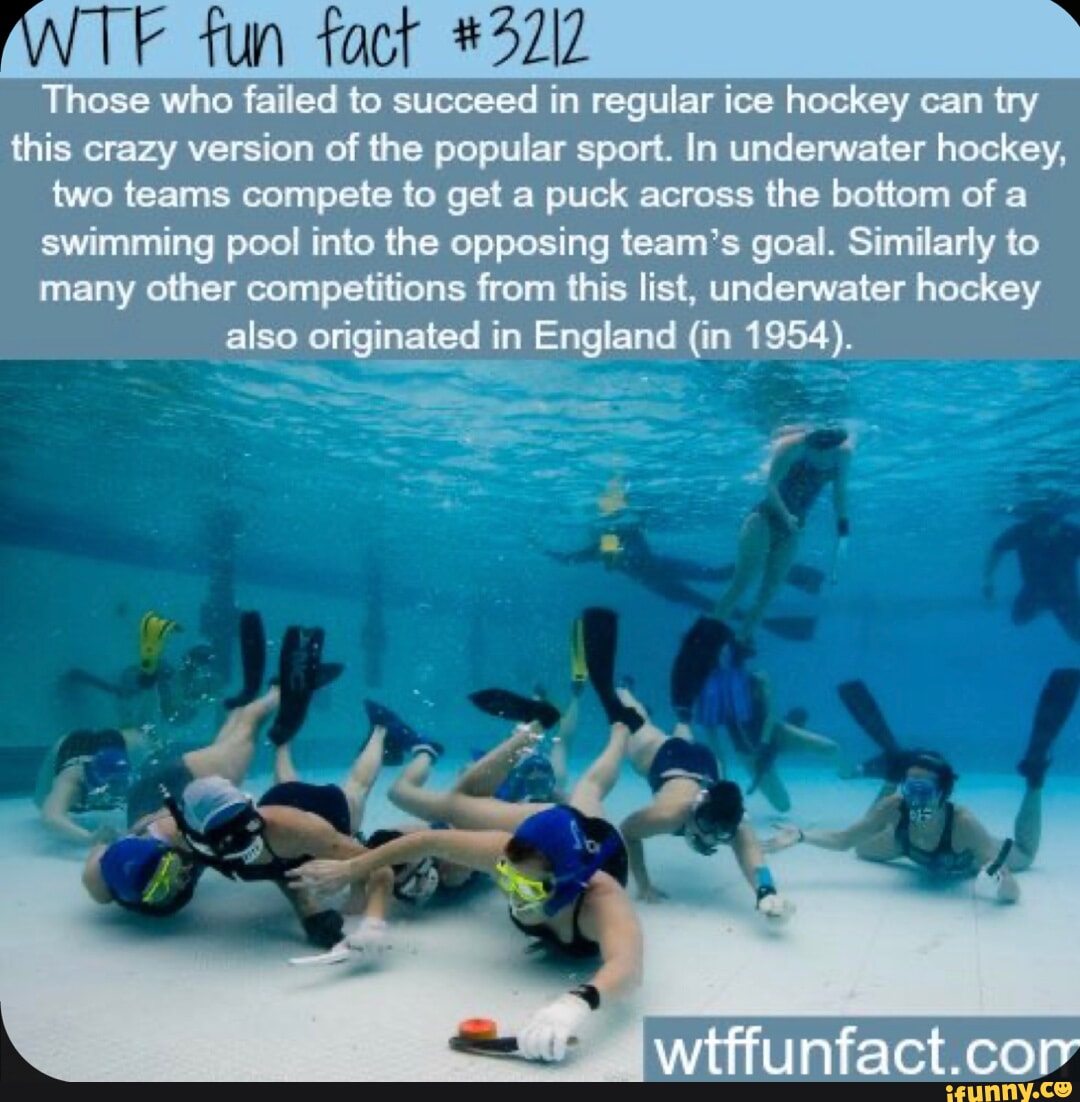 Хайди тернер южный парк. This that pictures. Little fox word families og. I can see презентация 2 класс. I see green i see yellow.