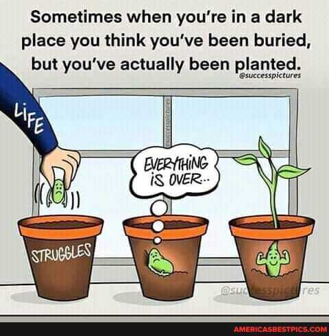 Sometimes when you're in a dark place you think you've been buried, but you've actually been planted.