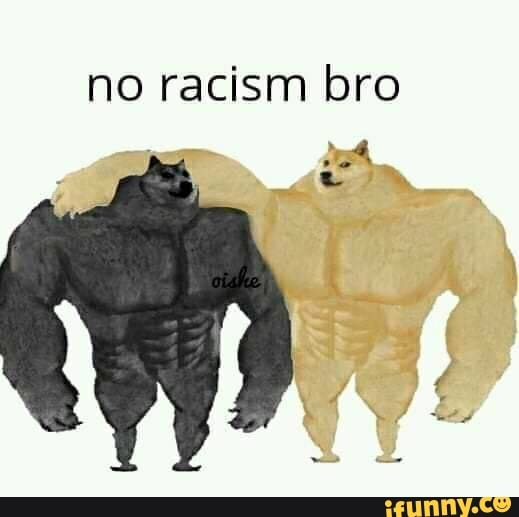 no racism bro