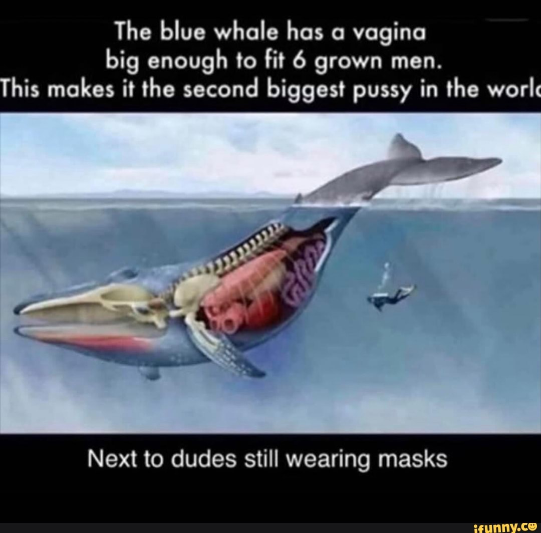 The blue whale has a vagina big enough to fit 6 grown men.
his makes it the second biggest pussy in the world
Next to dudes still wearing masks