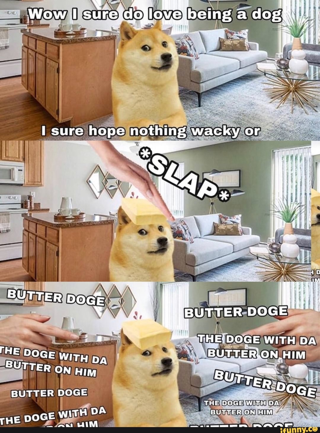 Wow I sure. irerdoploygIbeing: a sure hope wacky or BUTTER See THE DOGE ...