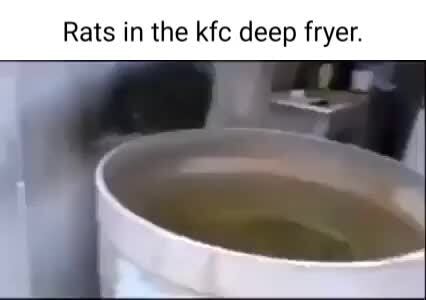 Rats in the kfc deep fryer. - )