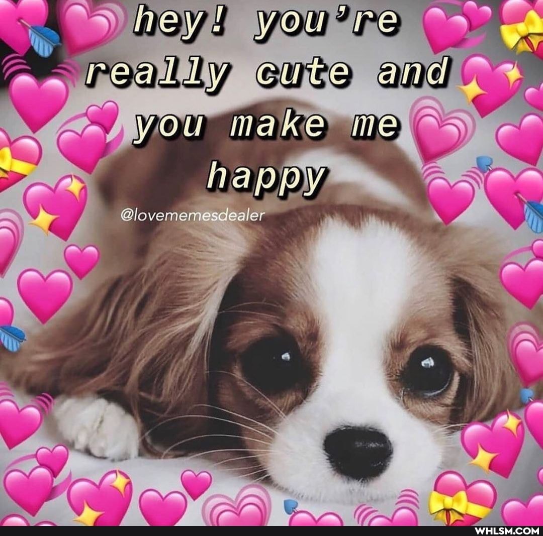 really
your make me
@lovememesdealer
- _