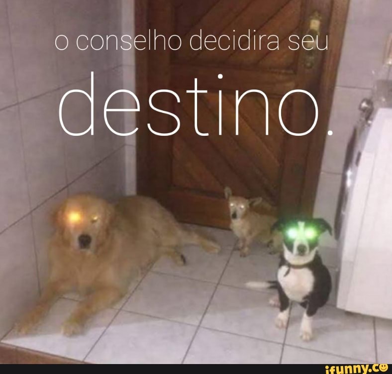 o conselho decidira seu
destino. :