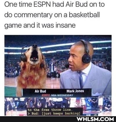 One time ESPN had Air Bud on to do commentary on a basketball game and it was insane