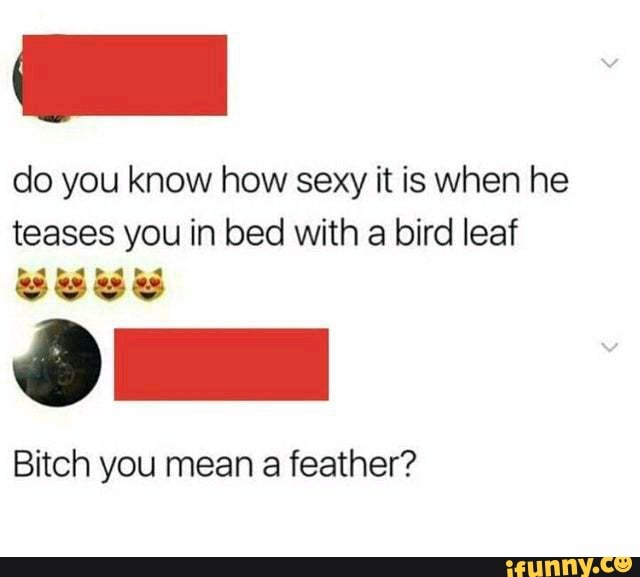 do you know how sexy it is when he teases you in bed with a bird leaf
Bitch you mean a feather?