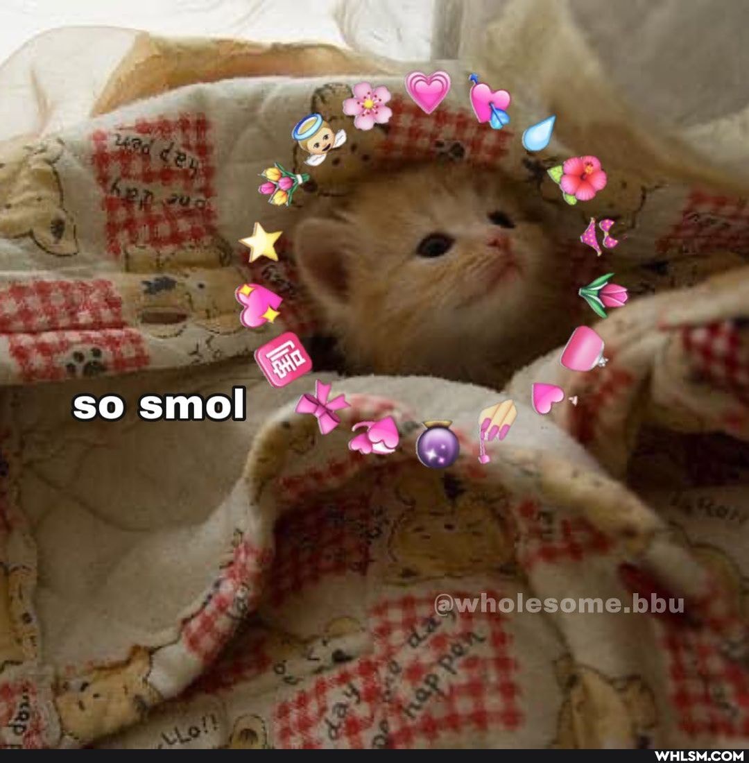 so
@wholesome.