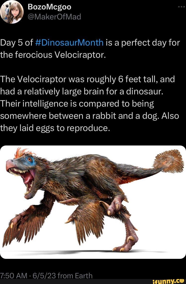 Velociraptor Free Workplace Schild Aus Aluminium - Lustiges Dino-Warnschild Im Vintage-Look