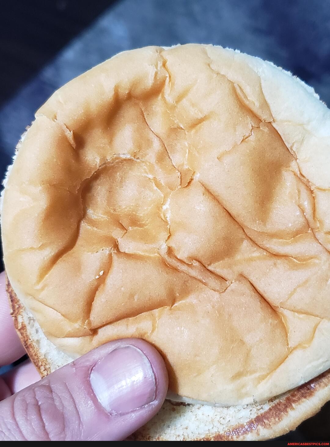 cat, jasper, decided, add, decoration, burger, bun