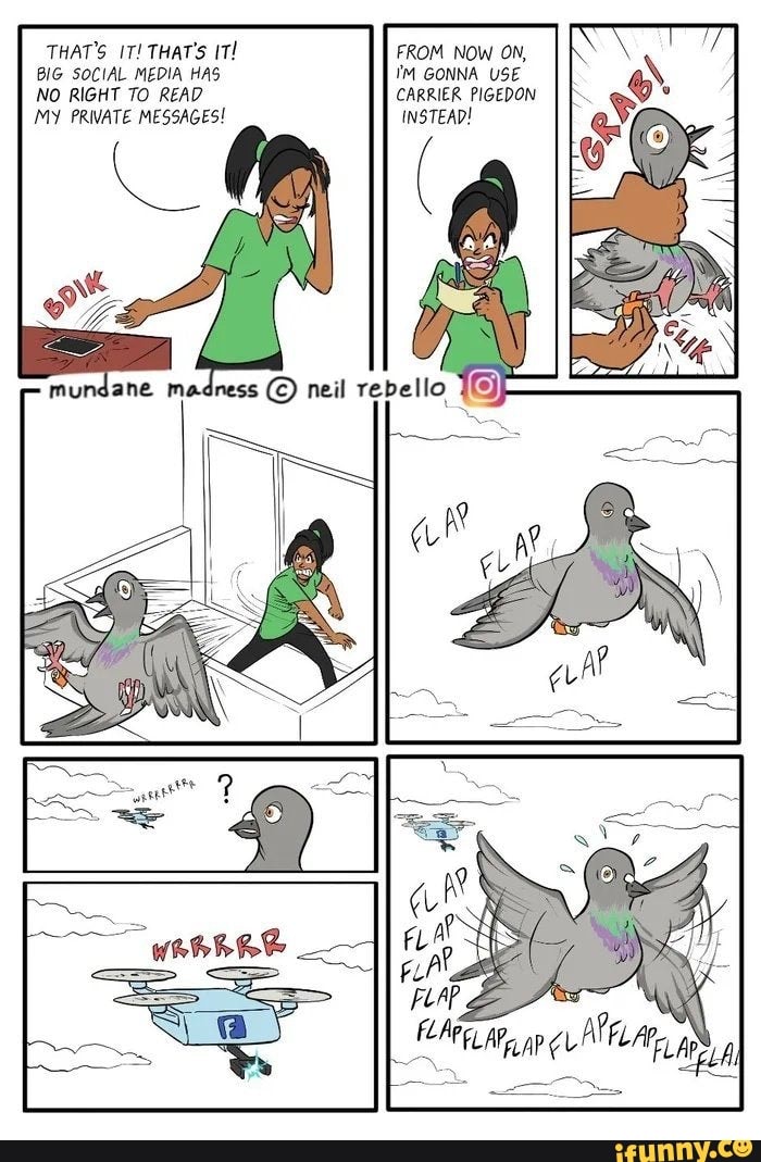 THAT'S IT! THAT'S IT! FROM NOW ON,
BIG SOCIAL MEDIA HAS IM GONNA USE
NO RIGHT TO READ CARRIER PIGEDON
MY PRIVATE MESSAGES! INSTEAD!