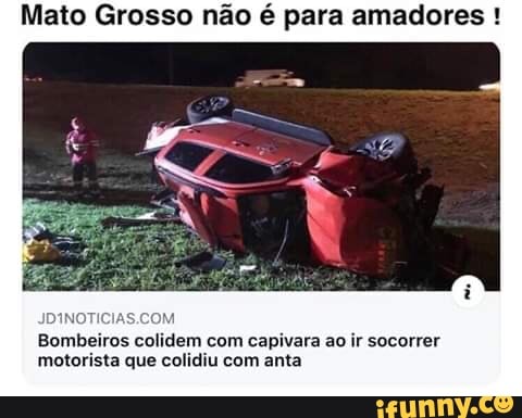 Mato Grosso não é para amadores Bombeiros colidem com capivara ao ir socorrer
motorista que colidiu com anta