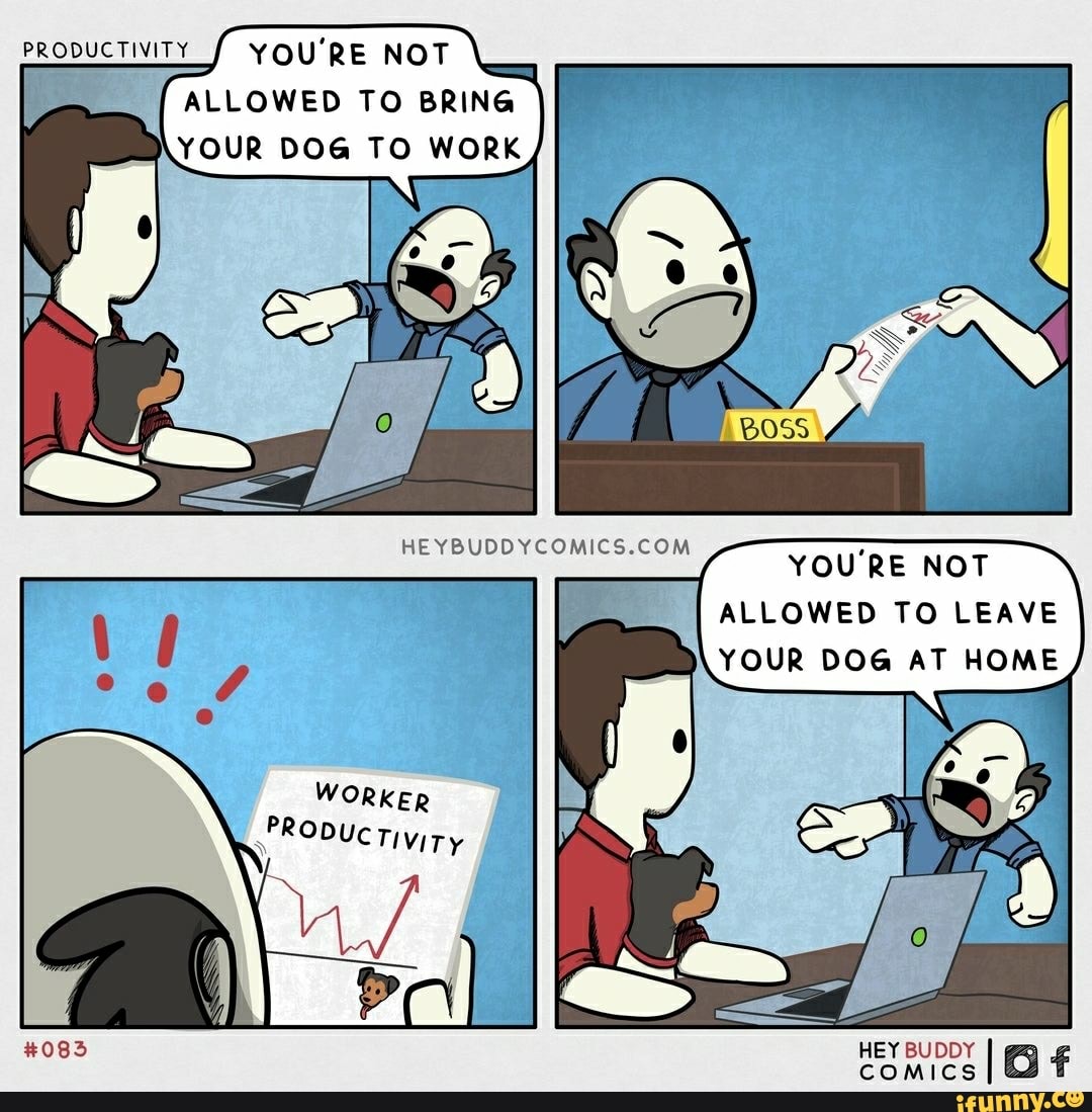PRODUCTIVITY YOU'RE NOT
Pag
YOUR DOG TO WORK
YOU'RE NOT