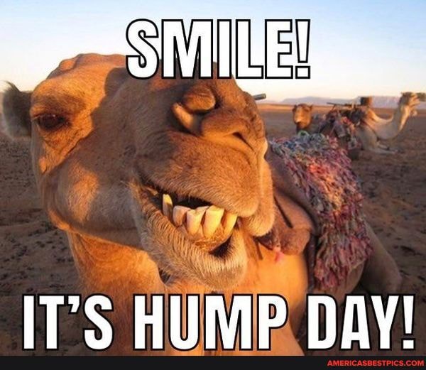 Happy Wednesday!.. 🙂 ... - ITS HUMP DAY! - America’s best pics and videos