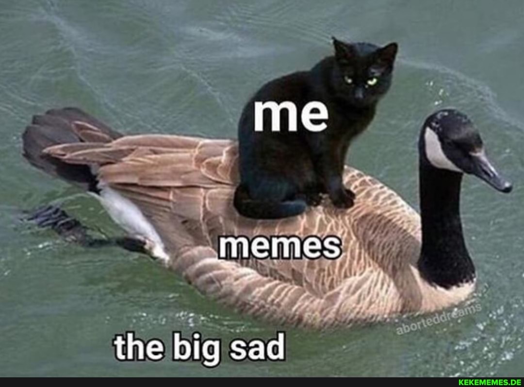 me
memes
the big sad