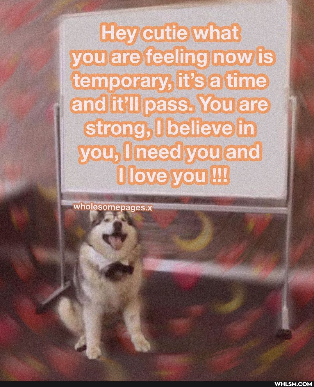 Fley cutie what you are feeling now Is temporary, it's time and pass. You are
strong, I believe in you, I need you and
I love you
wholasomepages.x