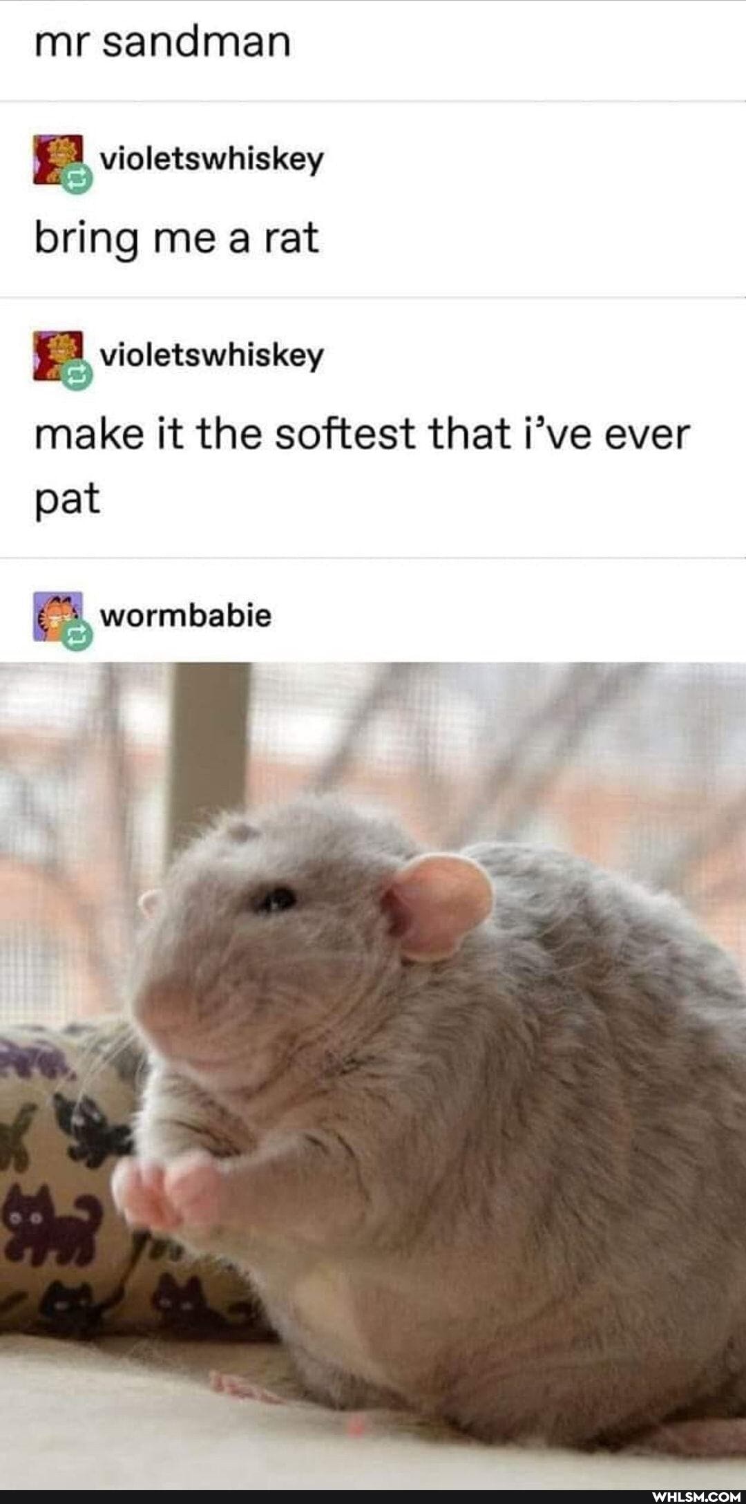 mr sandman
bring me a rat
make it the softest that i've ever pat
wormbabie