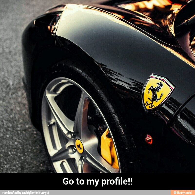 Go to my profile! - Go to my profile!!