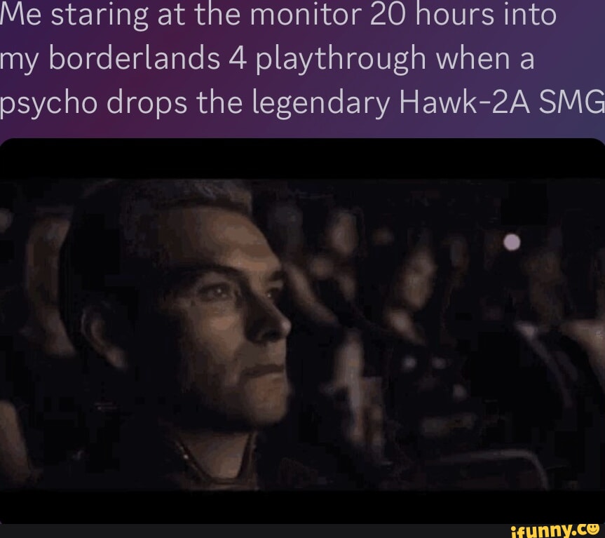 Me staring at the monitor 20 hours into my borderlands 4 