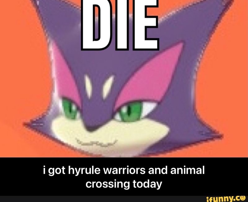 i got hyrule warriors and animal crossing today - i got hyrule warriors and animal crossing today