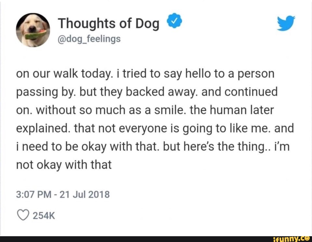 @dog_feelings
on our walk today. i tried to say hello to a person
passing by. but they backed away. and continued
on. without so much as a smile. the human later
explained. that not everyone is going to like me. and
i need to be okay with that. but here's the thing.. i'm
not okay with that
3:07 PM 21 Jul 2018