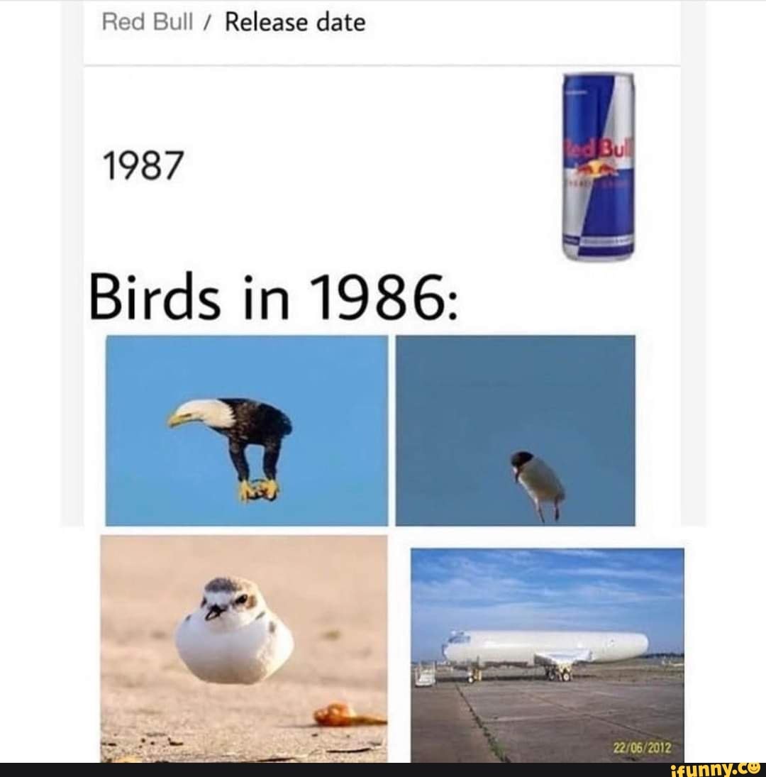 red-bull-release-date-1987-birds-in-1986-ifunny