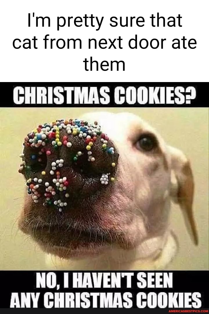 I M Pretty Sure That Cat From Next Door Ate Them Christmas Cookies No Seen Any America S Best Pics And Videos