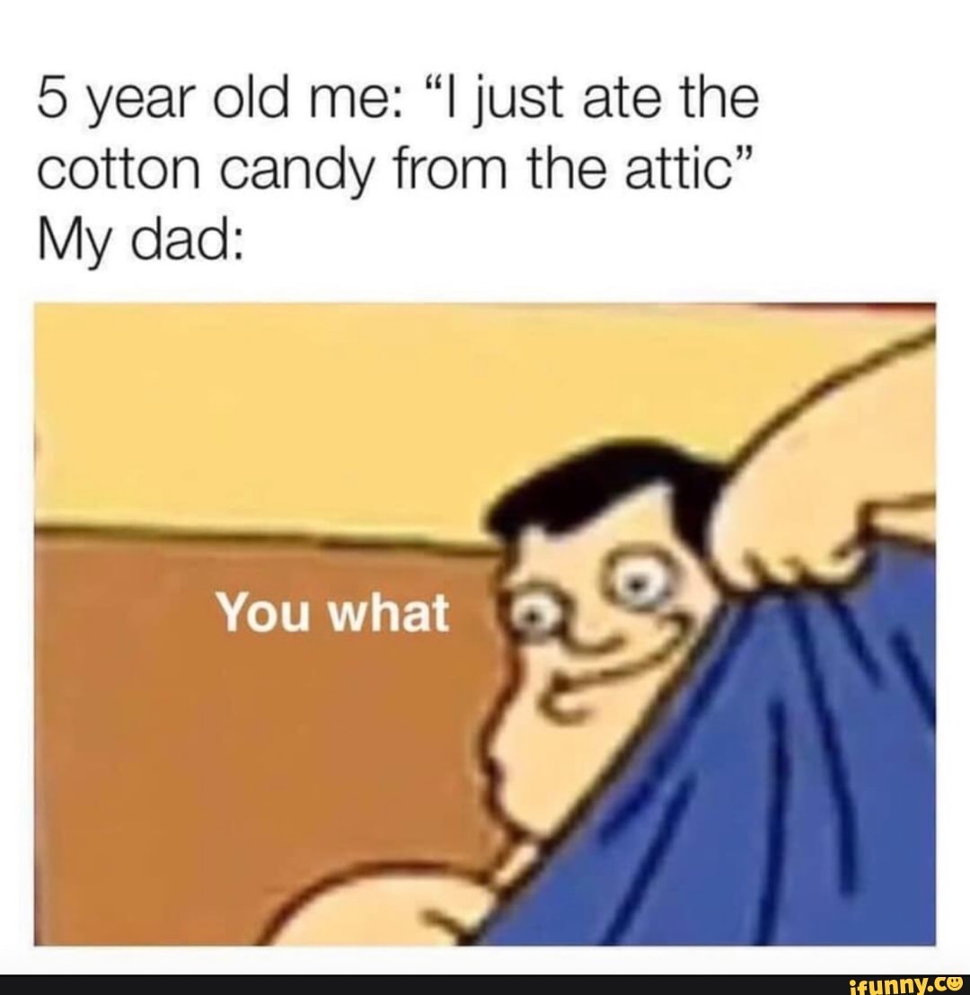 5-year-old-me-i-just-ate-the-cotton-candy-from-the-attic-my-dad