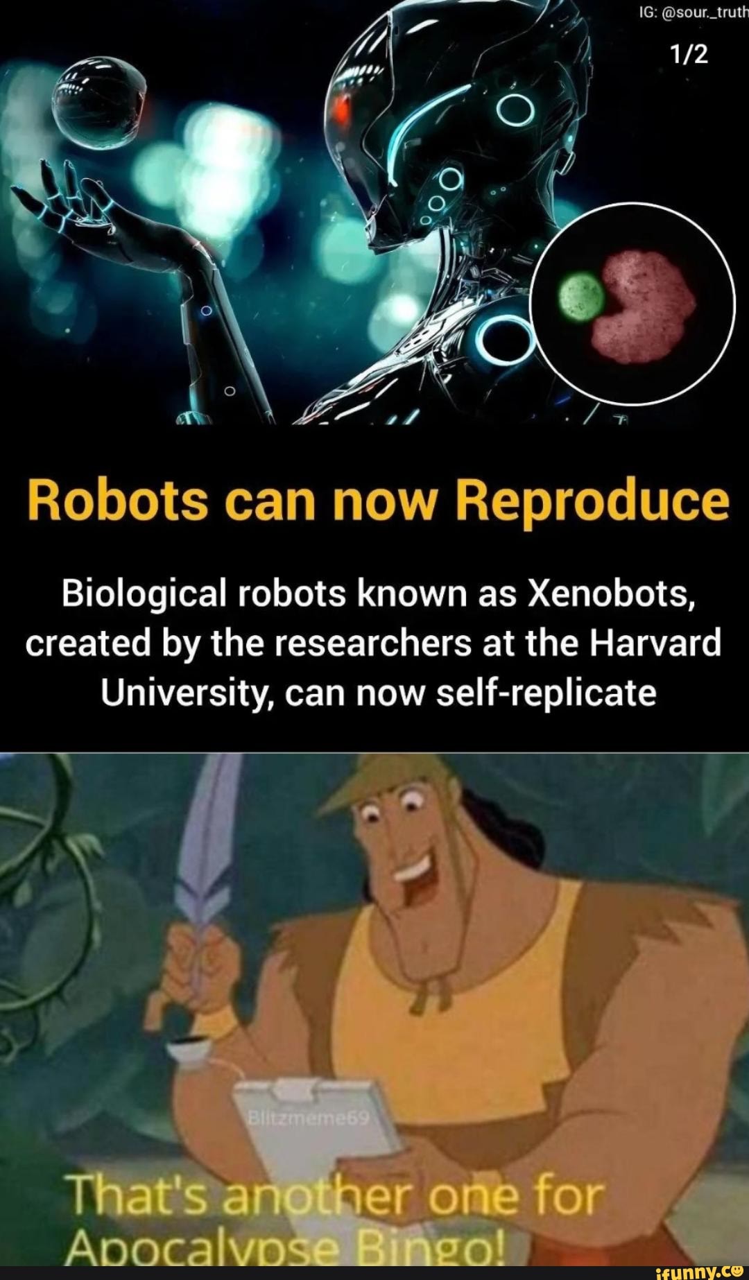 Robots can now Reproduce Biological robots known as Xenobots, created