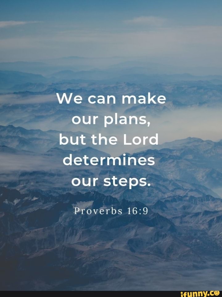 We can make our plans, but the Lord determines our steps. Proverbs - iFunny