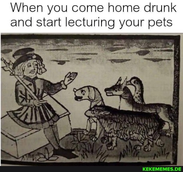 When you come home drunk and start lecturing your pets