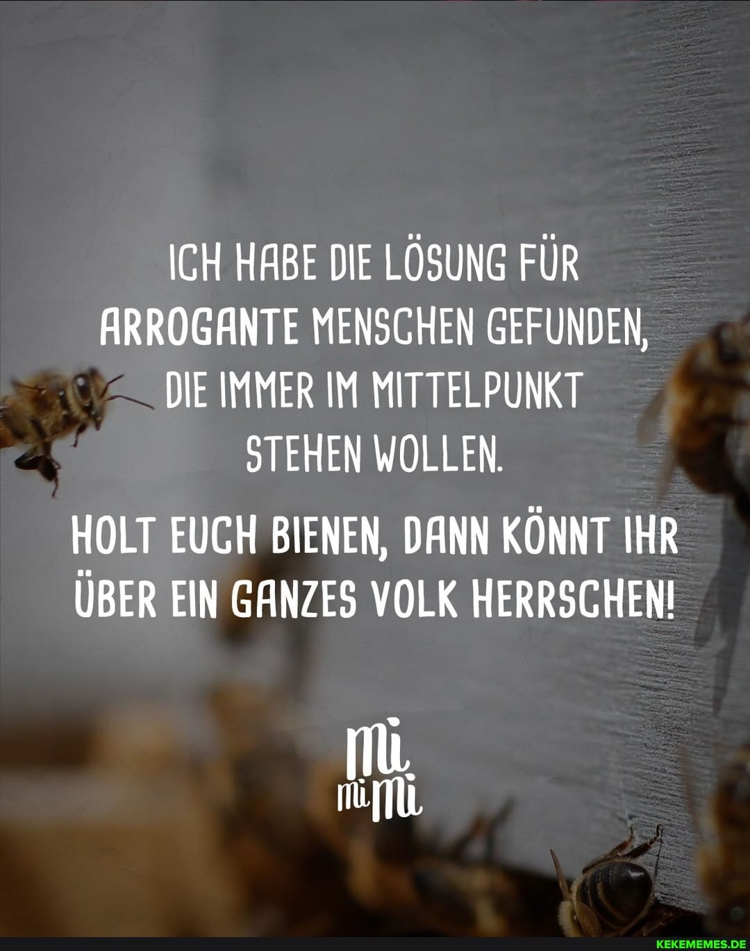 ICH HABE DIE LÖSUNG FÜR ARROGANTE MENSCHEN GEFUNDEN, DIE IMMER IM  MITTELPUNKT STEHEN WOLLEN. HOLT EUCH BIENEN, DANN KÖNNT IHR ÜBER EIN GANZES  VOLK HERRSCHEN! - Keke