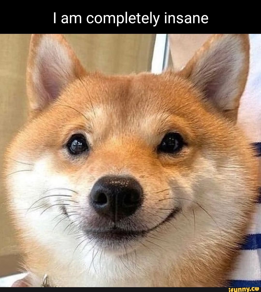 I am completely insane id - iFunny