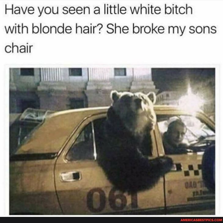 Have you seen a little white bitch with blonde hair? She broke my sons chair