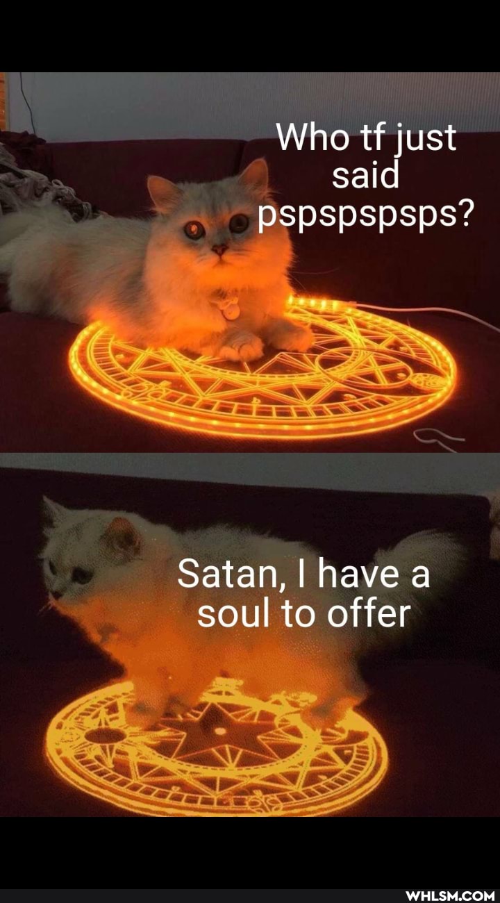 Who tf just said pspspspsps?
Satan, I have a soul to offer
